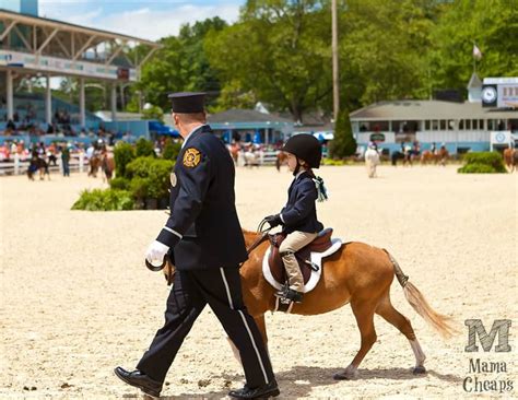 Devon Horse Show Discount - FREE Admission & Reserved Seating for ...