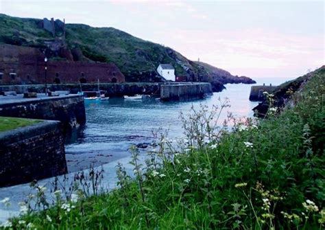 Coastal path walking: Porthgain to Abereiddy Walking, dog friendly | Holiday Cottages Wales