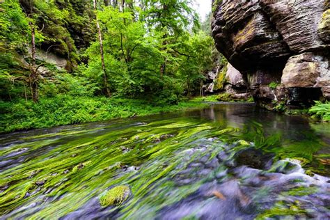 Hiking in Bohemian Switzerland National Park (2021 Guide) | National parks, Switzerland ...