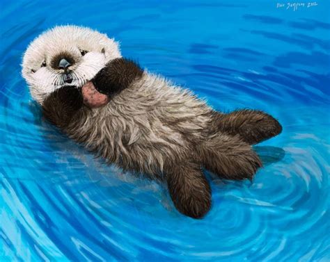 Sea Otter Awareness Week, Newborn Otter Pup by Psithyrus on DeviantArt | Otter pup, Baby sea ...