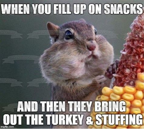 Happy Thanksgiving Meme Chipmunk Eating | Happy thanksgiving memes ...