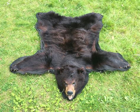 A LATE 20TH CENTURY TAXIDERMY BLACK BEAR SKIN RUG WITH MOUNTED HEAD. (l 170cm x w 145cm)