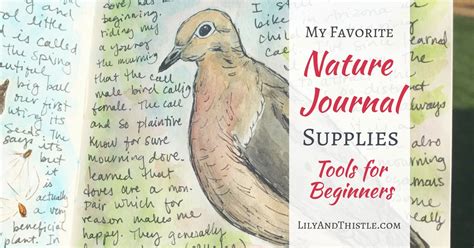 Nature Journaling Supplies-5 - Lily & Thistle