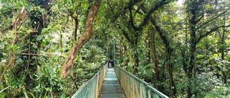 Monteverde Hanging Bridges Tour & Cloud Forest Hike from San Jose