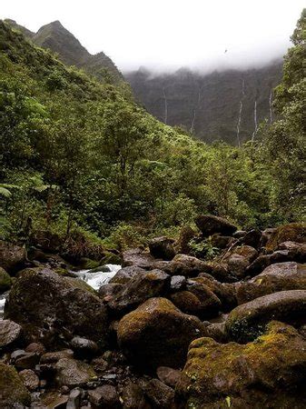 Kauai Hiking Adventures (Kapaa) - 2021 All You Need to Know BEFORE You ...