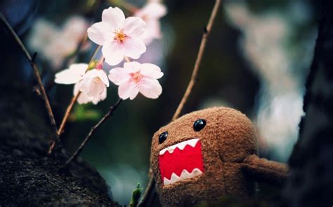 Cute Domo Wallpapers - Wallpaper Cave