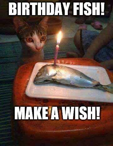 Happy Birthday Fishing Meme | Happy birthday meme, Happy birthday fishing, Funny happy birthday