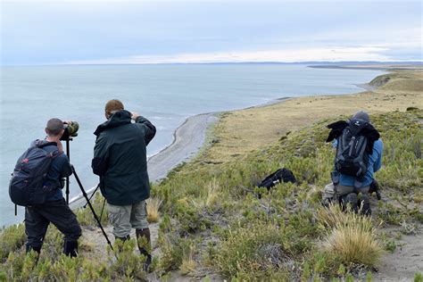 Tierra del Fuego – Wildlife Restoration Partnerships