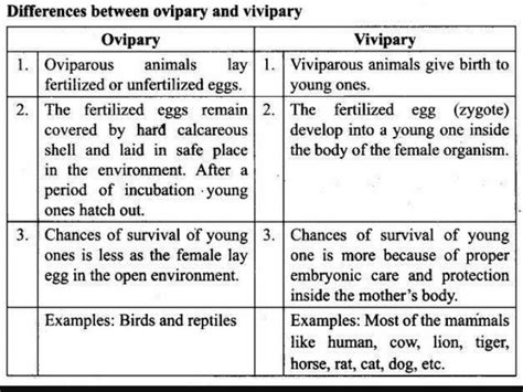 List the difference between Oviparous animals and viviparous animals in ...