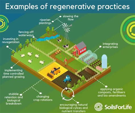 What is Regenerative Agriculture? - Soils For Life