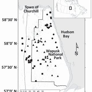 Map of the study area, Wapusk National Park. Squares represent... | Download Scientific Diagram