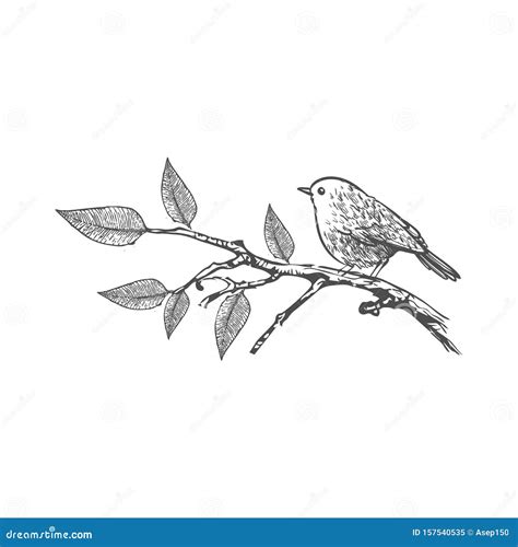 Simple Bird in the Branch Hand Draw Style Logo and Vector Illustration ...