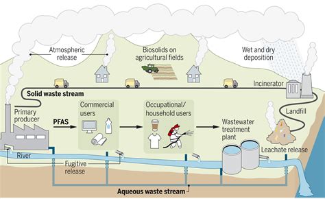 Per- and polyfluoroalkyl substances in the environment | Science