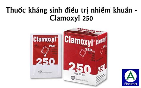 Clamoxyl 250 – Thuốc kháng sinh điều trị nhiễm khuẩn của Pháp - Hội Buôn Chuyện