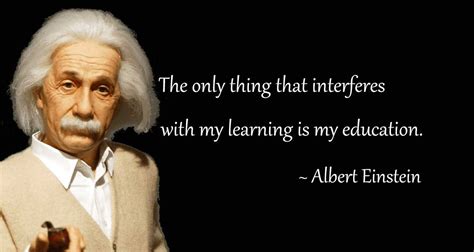 Albert Einstein Education Quotes