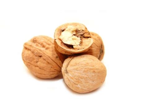 Walnut Oil