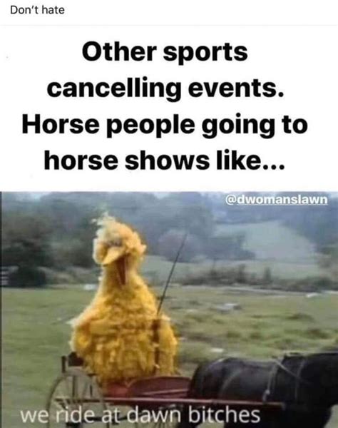 The Best Horse Related COVID-19 Memes on the Internet | HORSE NATION