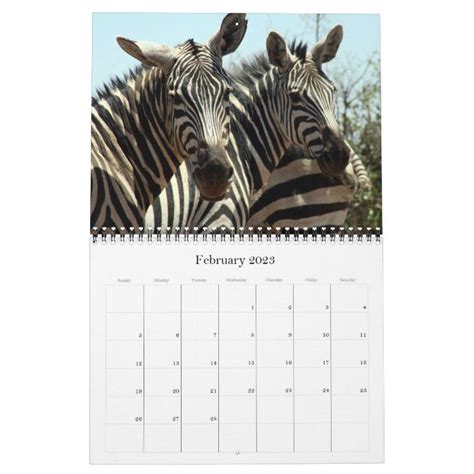 africa 2024 calendar | Zazzle | Travel calendar, Zebra, Calendar