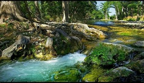 Utopia Texas | Places | Pinterest | Texas