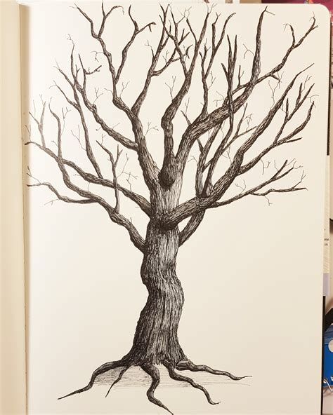 Today's practice: a simple tree. : r/drawing