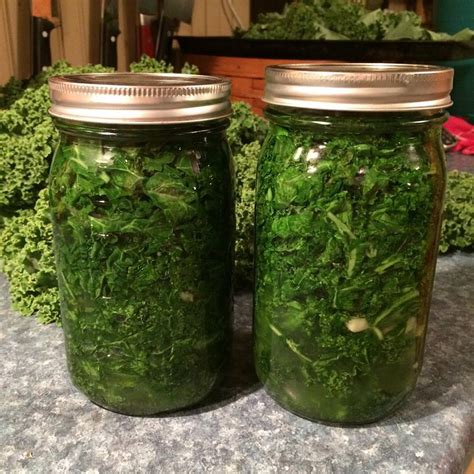 Fermented Kale Recipe | Mercy Hill Farm | Kale recipes, Fermented ...