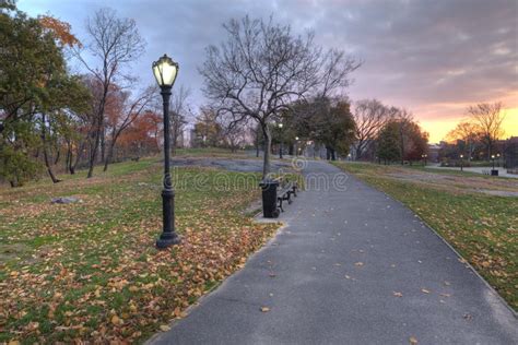 Sunrise in Central Park stock photo. Image of trees, lamp - 18003038