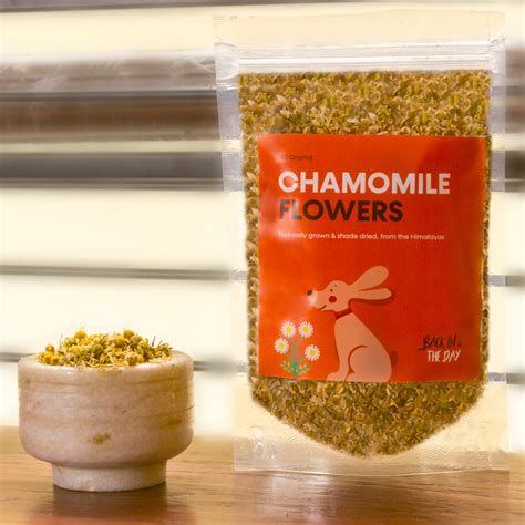 Chamomile Flowers | Back in the day