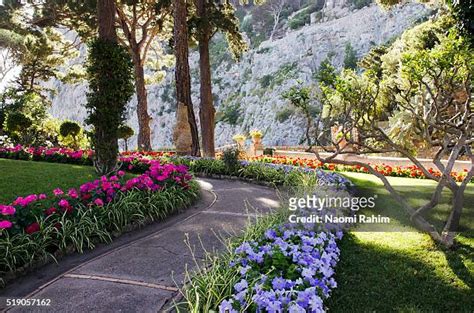 463 Gardens Of Augustus Stock Photos, High-Res Pictures, and Images - Getty Images