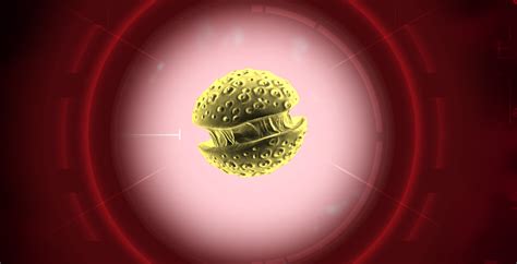 Simian Flu | Plague Inc. Wiki | Fandom