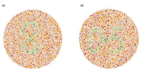 Do you see what I see? - The Physiological Society