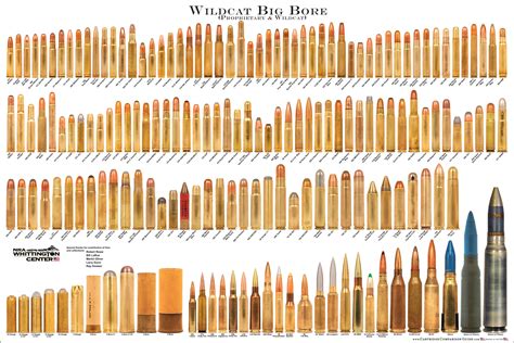 Bullet Caliber Chart By Size