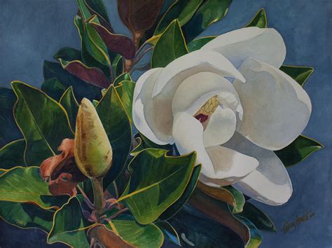 Southern Magnolia 5 Painting by Betsy Arvelo - Fine Art America