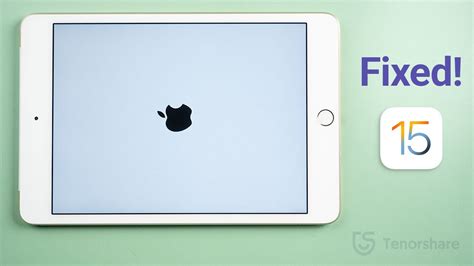 iPad Stuck on Apple Logo/Boot Loop? Here Is the Fix! (No Data Loss ...