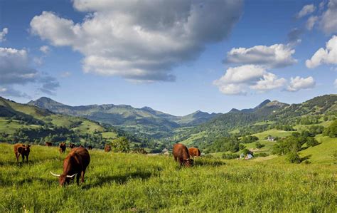 Épinglé par Domy Gazel sur Cantal, auvergne | Auvergne, Cantal, Maison de montagne