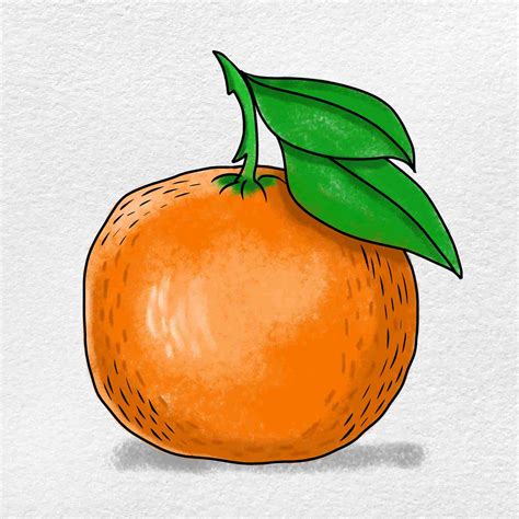 Tangerine Drawing - HelloArtsy