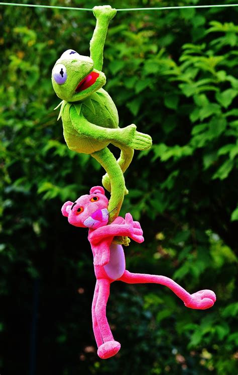 Hang Out Plush Toys Kermit The - Free photo on Pixabay