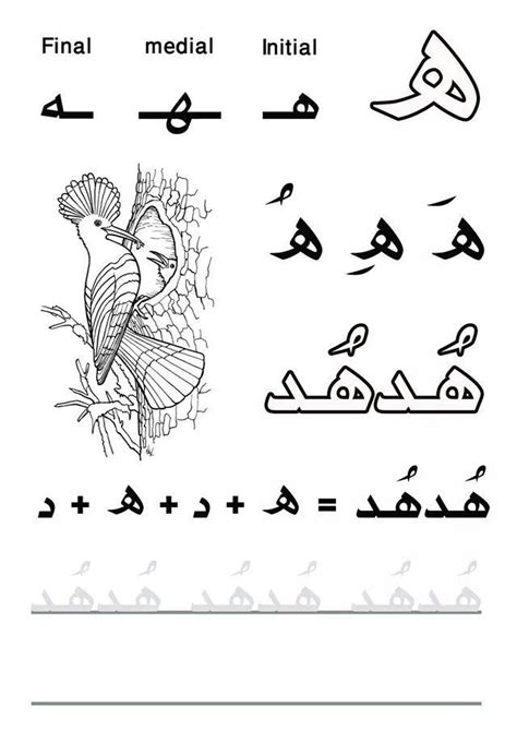 Haa, هاء | Alphabet worksheets, Arabic worksheets, Learn arabic alphabet