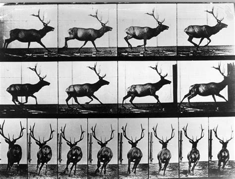 Inspire: Eadweard Muybridge – The Dreaming State