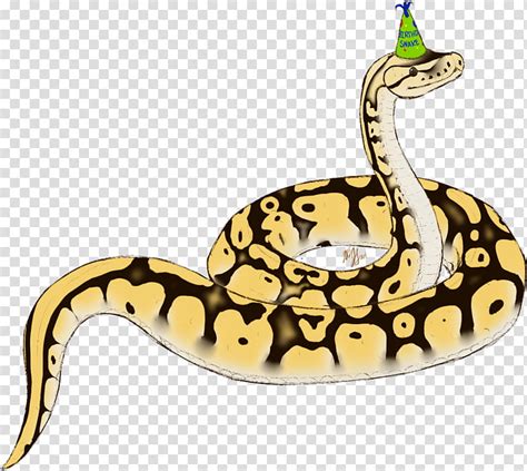 Ball Python Clipart Black And White