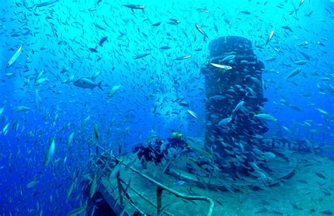 Artificial Reefs Around the World - The Atlantic