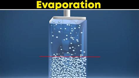 Evaporation |⚡3d animation | Class 9, Chemistry | - YouTube