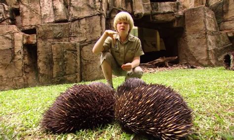 Robert Irwin's Australia Zoo tour