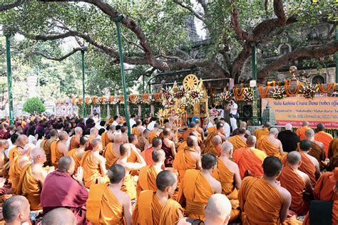 Devotees | Steps taken to protect sacred Bodhi tree - Telegraph India