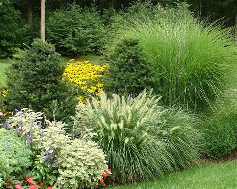 Johnsen Landscapes & Pools: Mixing ornamental grasses with evergreens ...