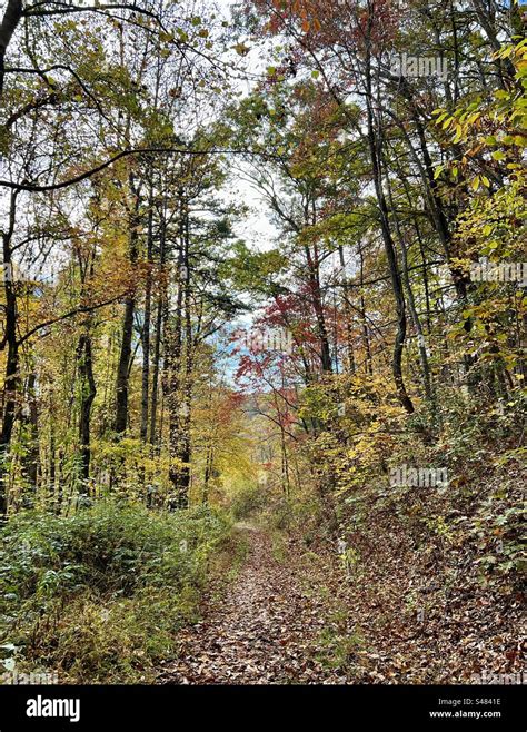 Autumn hike near Asheville with fall foliage Stock Photo - Alamy