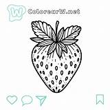 36 Fresa Para Colorear  Descarga Gratuita De PDF sketch template