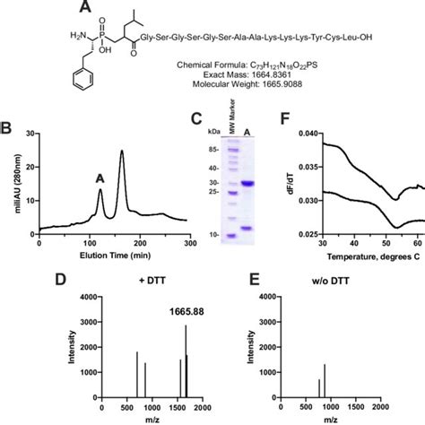 Length distribution of antigenic peptides that bind to HLA-B*08:01 and ...