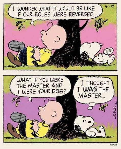 a cartoon strip with snoop and charlie on the tree, one saying i wonder ...