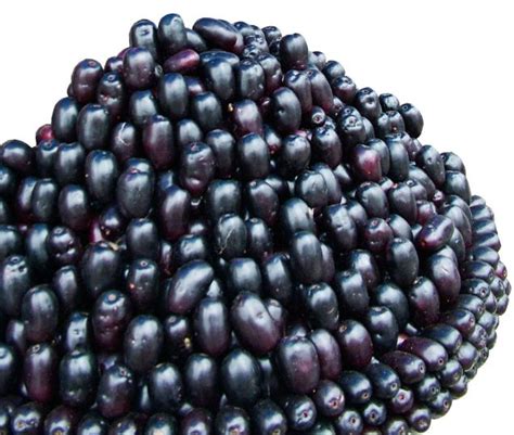 Jamun | Fruit, Organic fruit, Fruits online