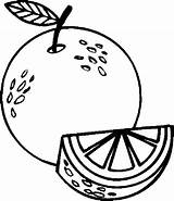 Free Coloring Pages Of Oranges  MaritzailCrane sketch template